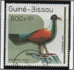 Stamps Guinea Bissau -  Otidiphaps nobilis