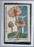 Stamps Guinea Bissau -  Hongos, Termitomyces globulus