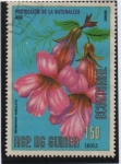 Stamps Equatorial Guinea -  Rehmanmia angulaya