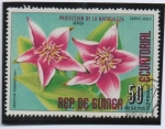 Stamps Equatorial Guinea -  Seguviun Epmonstonei