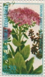 Stamps Equatorial Guinea -  Sedum spectabile