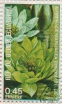 Stamps Equatorial Guinea -  Nymphaea marliacea chromatella