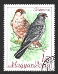 Stamps Hungary -  1892 - Halcón Patirrojo 