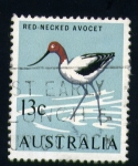 Sellos de Oceania - Australia -  Red-necked avocet