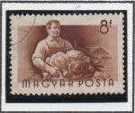 Stamps Hungary -  Grangero