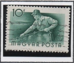 Stamps Hungary -  Pescador