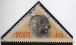 Stamps Hungary -  Puli Perro Pastol