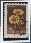 Stamps Hungary -  Cardos Hungaros