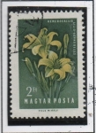 Stamps Hungary -  Lirios