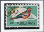 Stamps Hungary -  Pinzón