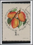 Stamps Hungary -  magyar Kajszi