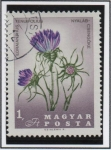 Stamps Hungary -  Flores d' l' Cuenca d' l' Carpados