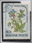 Stamps Hungary -  Lungwort