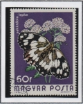 Stamps Hungary -  Melanatha Galathea