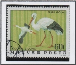 Stamps Hungary -  Cigüeñas Blancas