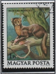 Sellos de Europa - Hungr�a -  Protecion d' l' Fauna: Marta