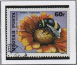 Stamps Hungary -  Insectos Polinizadores. Bumblebee y Blanketflower