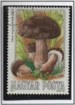 Stamps Hungary -  Setas comestibles: Boletus Edulis