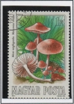 Sellos de Europa - Hungr�a -  Setas comestibles: Marasmius oreades