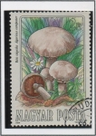 Stamps Hungary -  Setas comestibles: Campester Agaricus