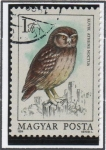 Stamps Hungary -  Buhos: Athene noctua