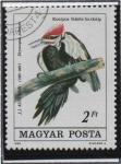 Stamps Hungary -  Pileatus d' Drocopus