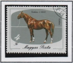 Stamps Hungary -  Caballos: Raza Rubia