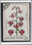 Stamps Hungary -  Lilium Martagon