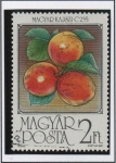 Stamps Hungary -  Albaricoques