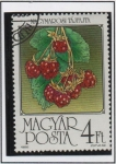 Stamps Hungary -  Frambuesas