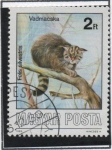 Stamps Hungary -  Felis Silvestris