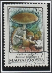 Sellos de Europa - Hungr�a -  Hongos: Amanita phalloides