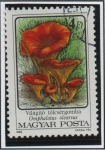 Stamps Hungary -  Hongos: Omphalotus olearius