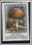 Stamps Hungary -  Hongos: Amanita panhtherina