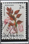 Stamps Hungary -  Orquídeas: Oscbis Purpurea