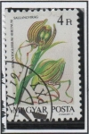 Stamps Hungary -  Orquídeas: Himantoglossum hircinum