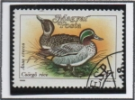 Stamps Hungary -  Patos: Anas crecca