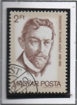 Stamps Hungary -  Ricardo adolfo Zsigmondy (1865-1920)