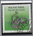 Stamps Hungary -  Reptiles: Vipera Rakosiensis