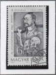 Stamps Hungary -  Médicos Pioneros: Rodolfo Virchow (1821-1902)