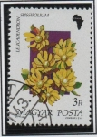 Stamps Hungary -  Flores d' Africa, Leucadendron spissifolium