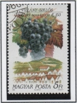 Stamps Hungary -  Uvas y Zonas Productoras d' Vino; Cabernet Sauvignon