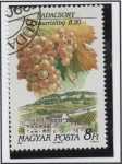 Stamps Hungary -  Uvas y Zonas Productoras d' Vino; Riesling Italiano, Badacsony