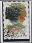 Stamps Hungary -  Uvas y Zonas Productoras d' Vino; Kadarka, Szeksard