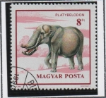 Stamps Hungary -  Animales Prehistóricos: Platybelodon
