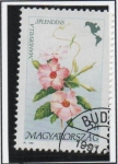 Stamps Hungary -  Flores d' l' Américas: Splendens Mandevilla