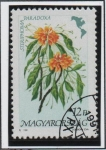 Stamps Hungary -  Flores d' l' Américas: Paradoxa Steriphoma