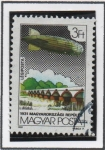 Stamps Hungary -  Hortobagy, Hungria