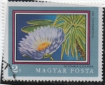 Stamps Hungary -  Menufar gigante