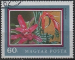 Stamps Hungary -  Bromeliak